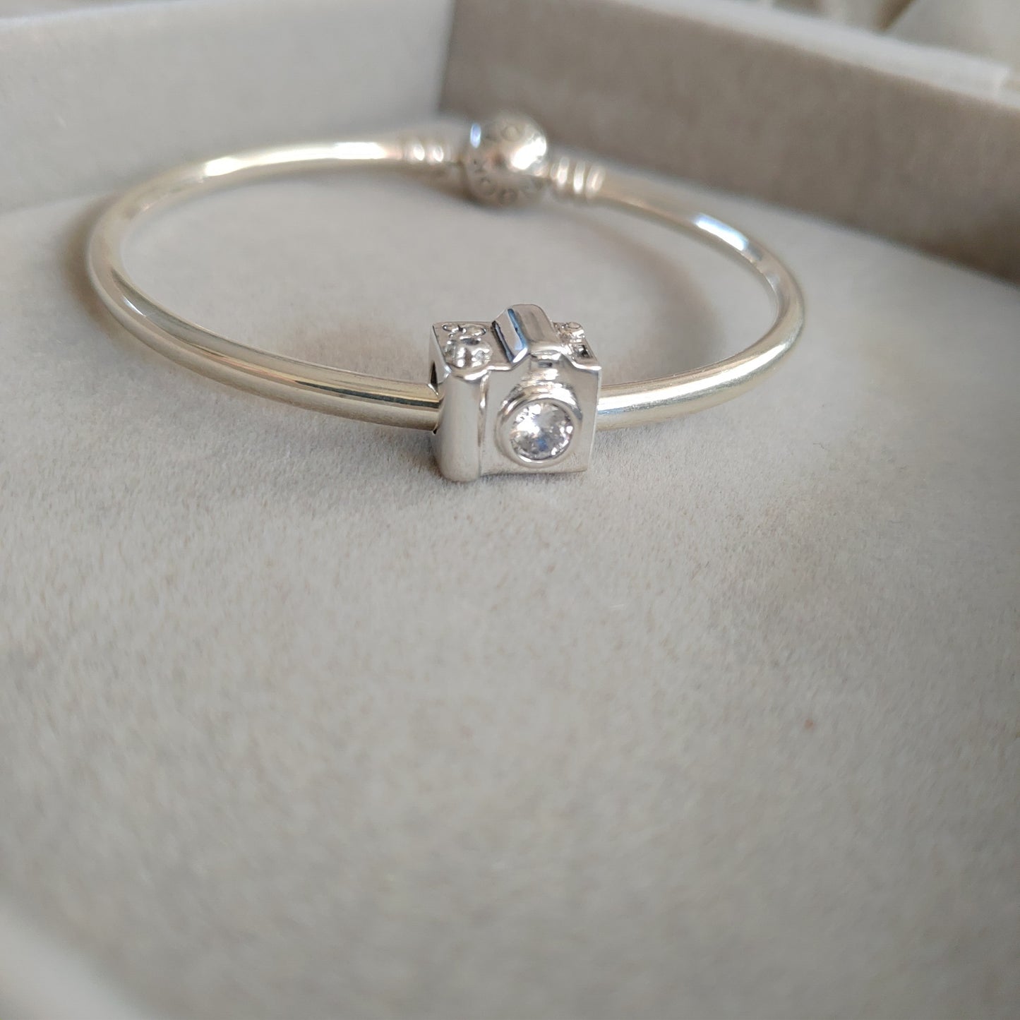 Charm Cámara Fotográfica Plata