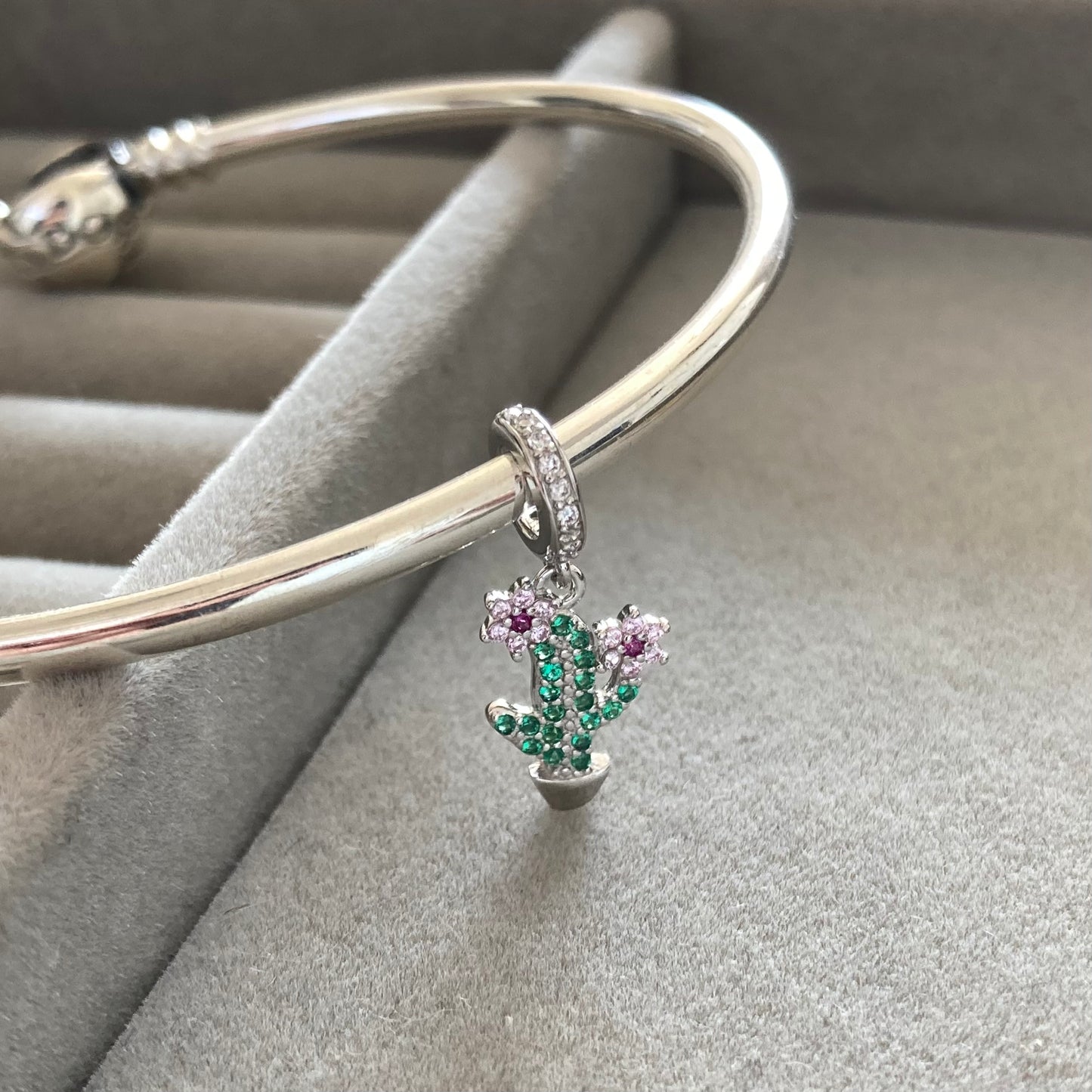 Charm Cactus en Flor