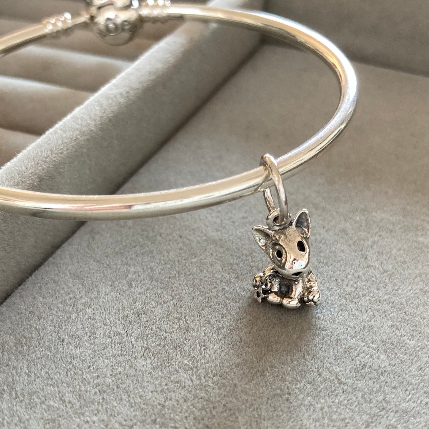 Charm Perrito Bull Terrier