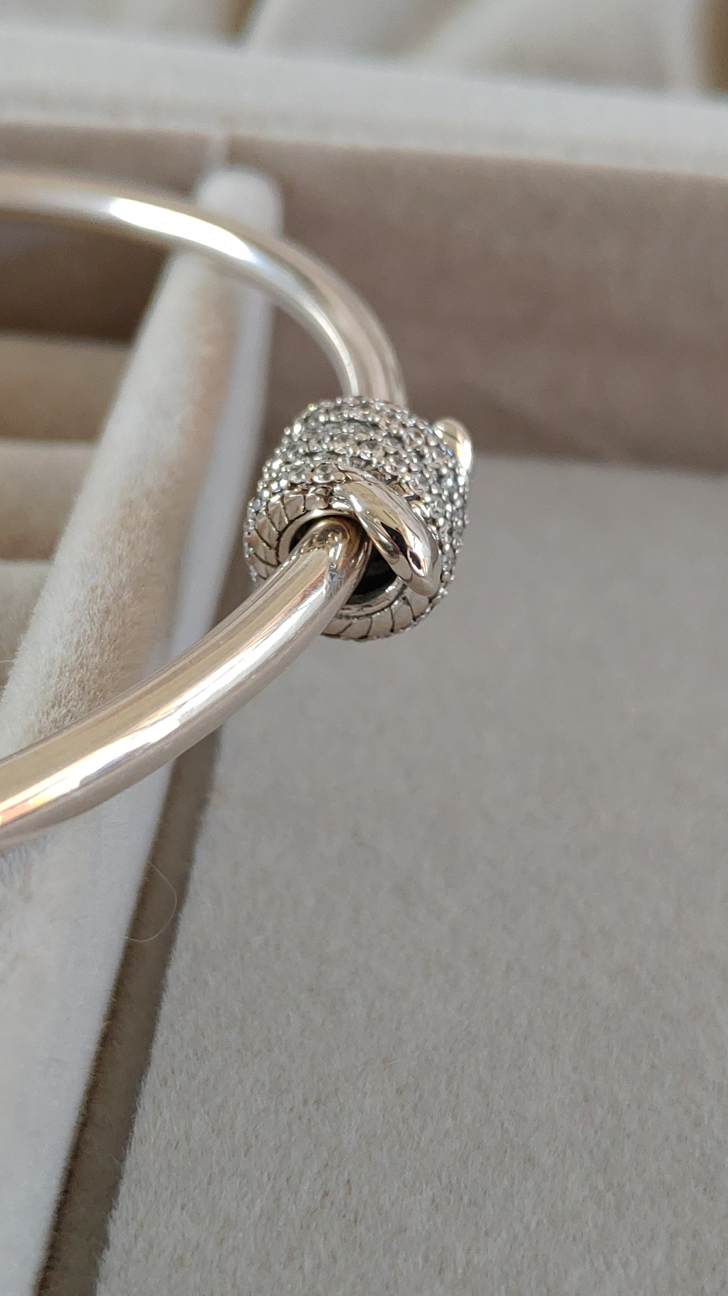 Charm Serpiente2 con Zircones