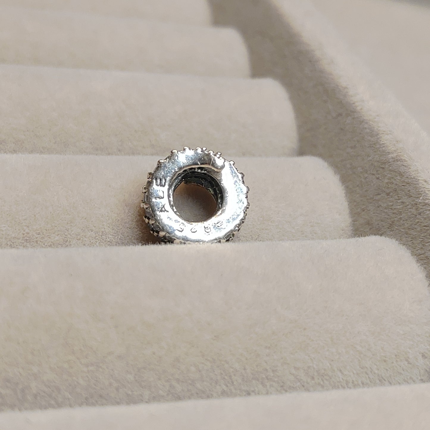 Charm Serpiente con Zircones