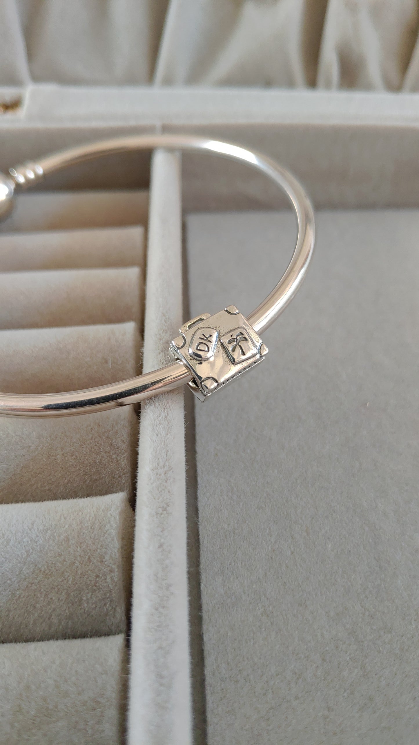Charm Maleta de Viaje