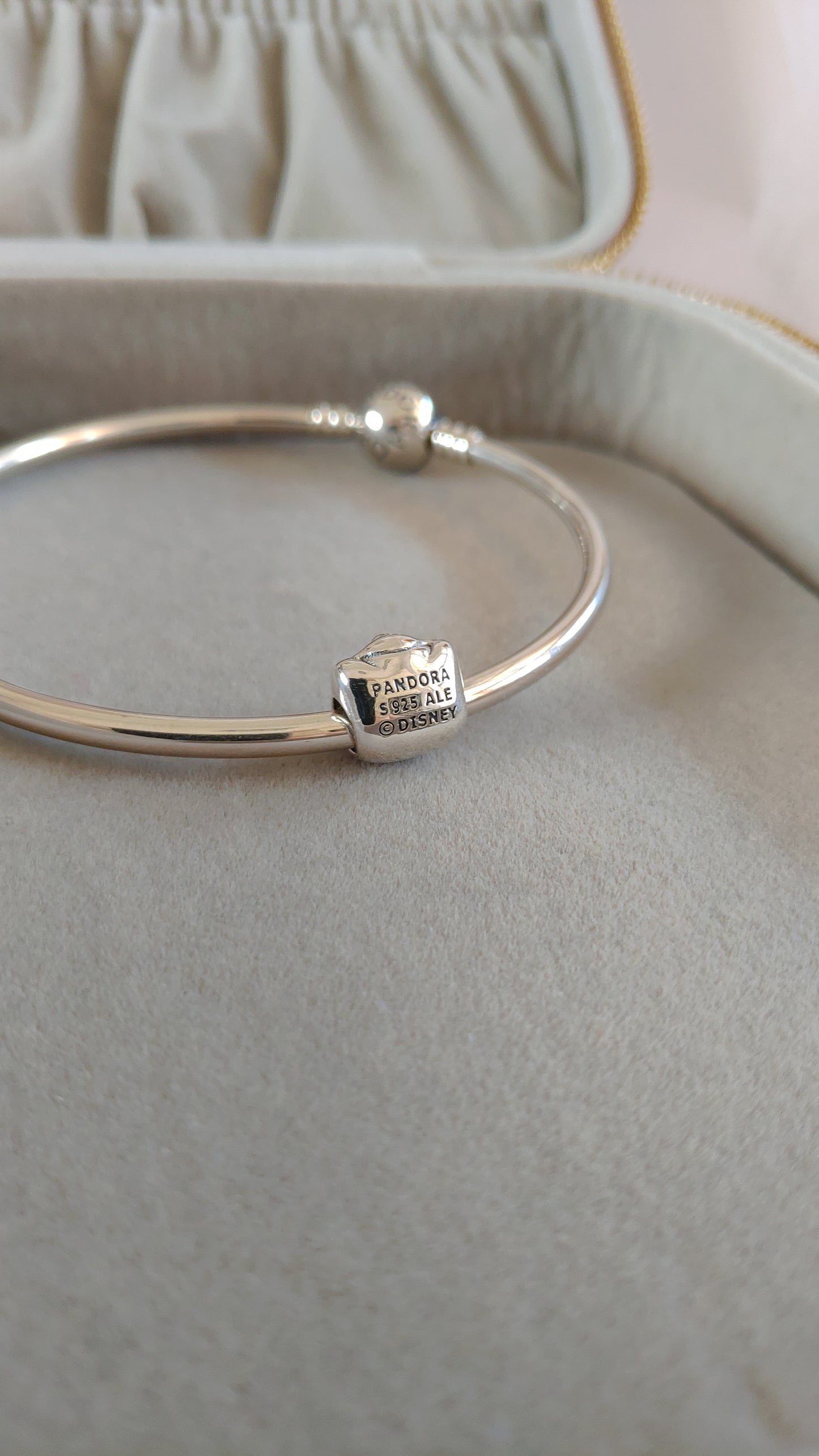 Charm Cabeza de Winnie the Pooh