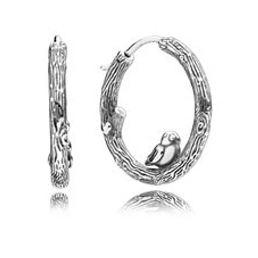 Aros Argollas Aves