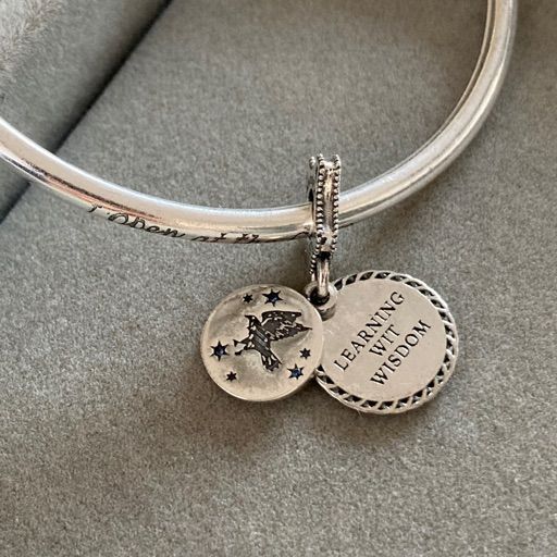 Charm Casa Ravenclaw