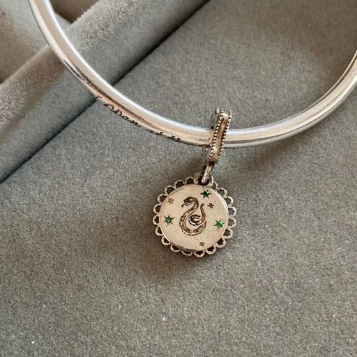 Charm Casa Slytherin