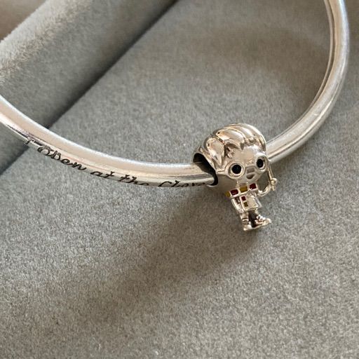 Charm Harry Potter