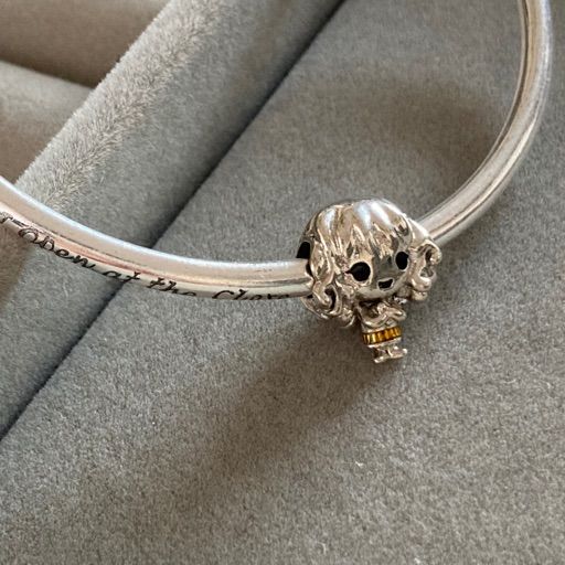Charm Hermione Granger