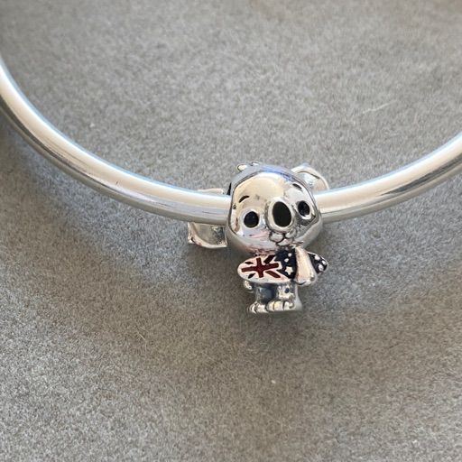 Charm Koala Australiano Surfista