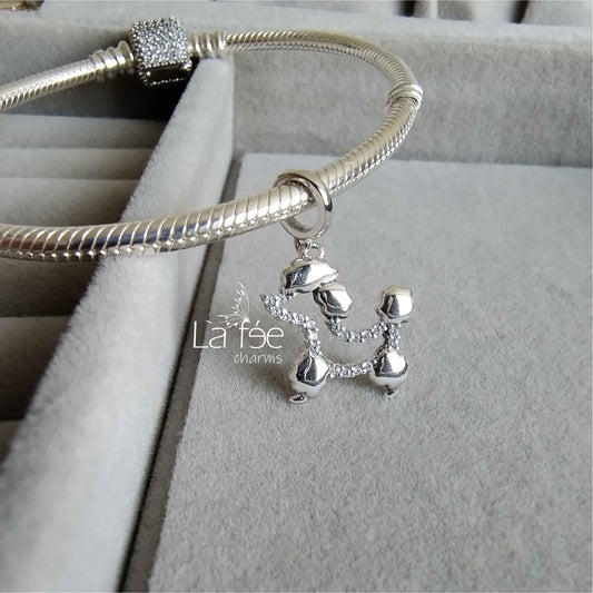Charm Perrito Poodle