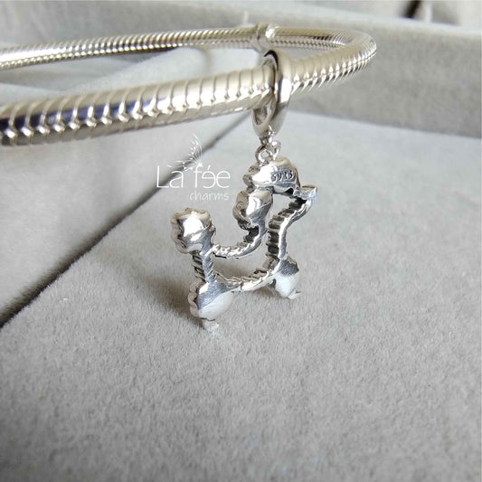 Charm Perrito Poodle