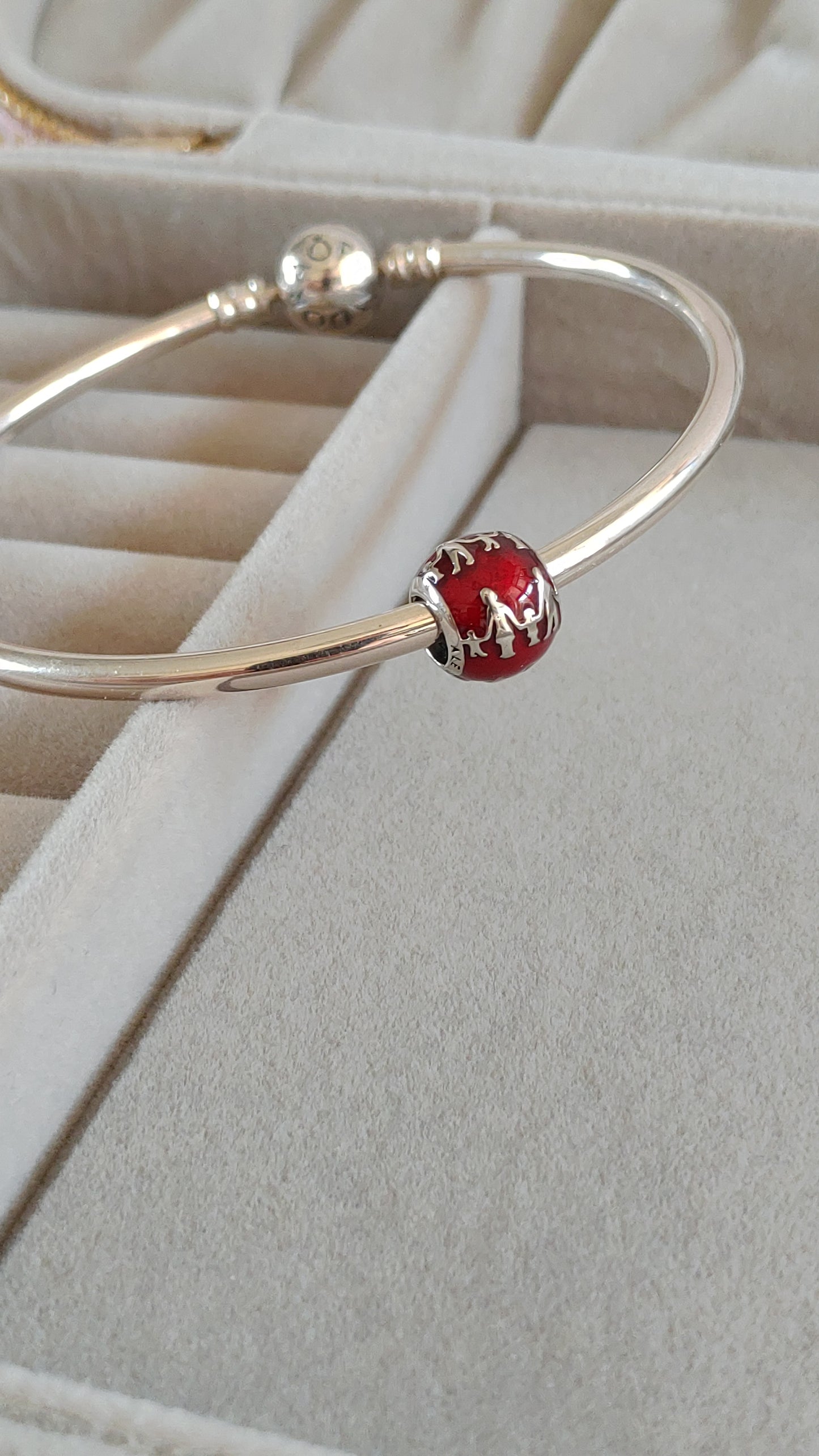 Charm Familia Esfera Roja