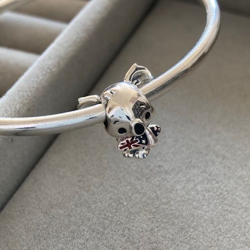 Charm Koala Australiano Surfista